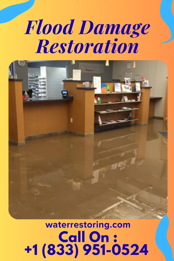 Flood Damage Restoration in Menominee, MI