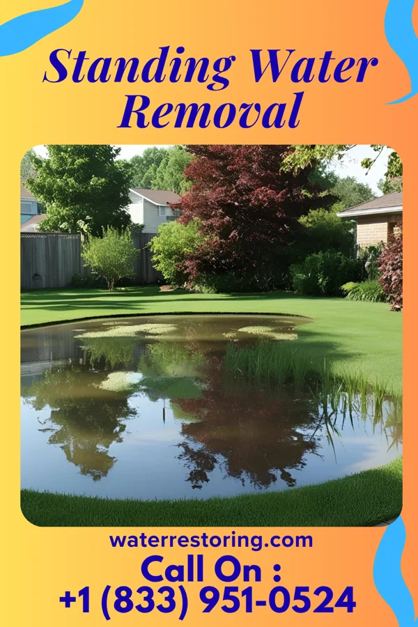 Standing Water Removal in Menominee, MI